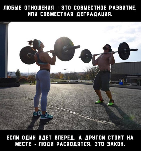  -   - 14  2016  07:17