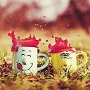 ���� �������, �������, 42 ���� - ��������� 8 ������ 2015 � ������ ������ ��������