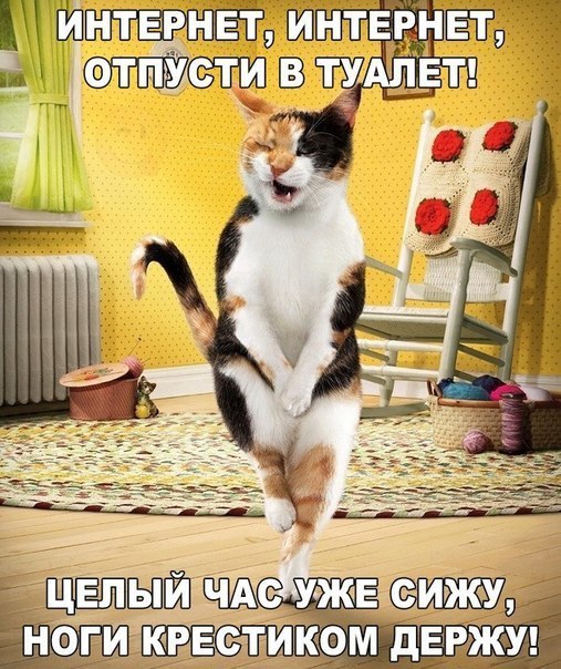    :D - 13  2016  17:33