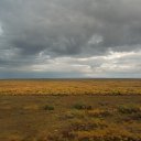 ������ �� ������� ���� ����������