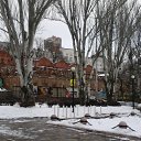 ���� ������, �����, 59 ��� - ��������� 11 ������ 2016 � ������ ���� ����������