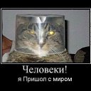 ���� ��� 0007, ���, 38 ��� - ��������� 6 ������� 2015 � ������ ���� ����������