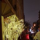 ���� �������, ������, 47 ��� - ��������� 10 ������ 2016 � ������ ���� ����������