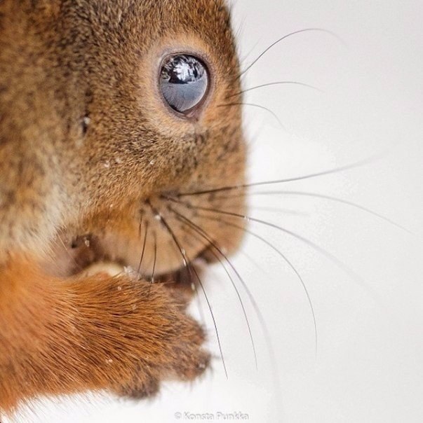  ,  .#animal@travel.blog - 9