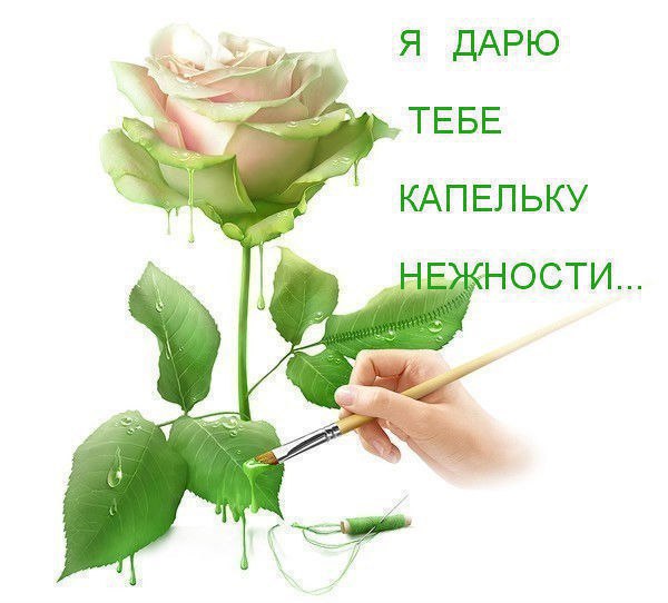  - 10  2015  01:46