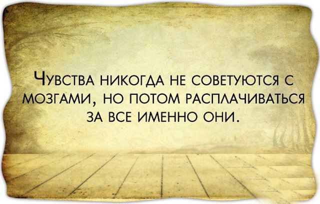   - 5  2015  15:58