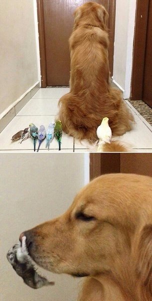    :) - 3