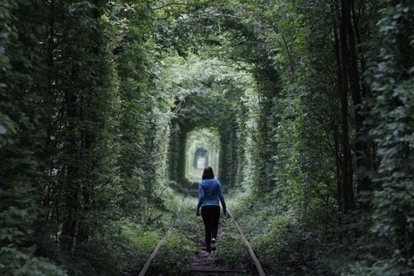     , .#@travel.blog - 4