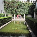 ���� ����, ��������������, 63 ���� - ��������� 16 ������ 2015 � ������ �� �������