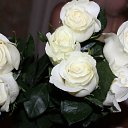 ���� �������, ���������, 53 ���� - ��������� 9 ������� 2015 � ������ ������ ��������