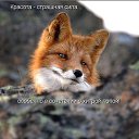 ���� ������, ������, 46 ��� - ��������� 27 ������� 2015 � ������ ���� ����������