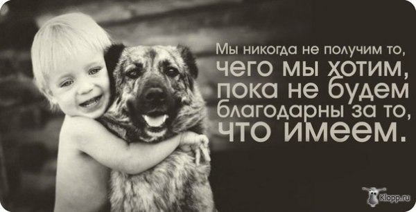   - 1  2016  16:14