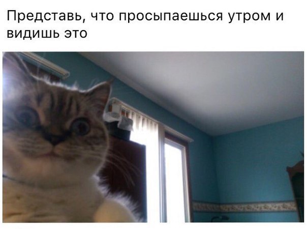  - 2  2016  22:47