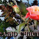 ���� ������, �����-��������� - ��������� 29 ������ 2015 � ������ �������� ��������