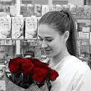 ���� �����, �����-���������, 33 ���� - ��������� 6 ����� 2016 � ������ ���� ����������