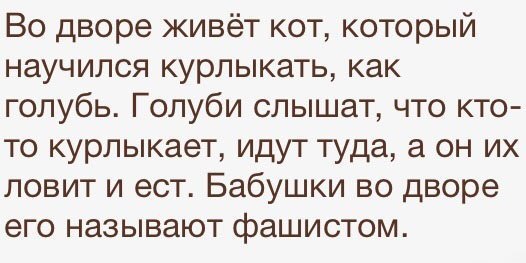      - 28  2015  13:01