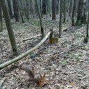 ���� �������, ������, 40 ��� - ��������� 25 ������� 2016 � ������ ���� ����������