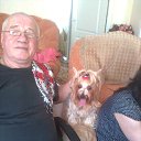 ���� ������, ����������, 81 ��� - ��������� 27 ������ 2015 � ������ �2015�