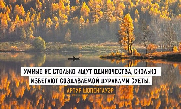  | ,  - 19  2015  22:01