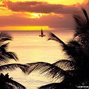 ���� ��������, �����-���������, 37 ��� - ��������� 16 ������ 2015 � ������ ���� ����������
