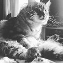 ���� �������, ������, 39 ��� - ��������� 4 ������� 2016 � ������ ���� ����������