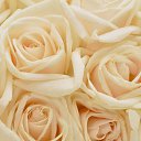 ���� ������, �����-��������� - ��������� 5 ������� 2016 � ������ ���� ����������