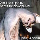 ���� ������, ������, 46 ��� - ��������� 27 ������� 2015 � ������ ���� ����������
