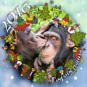 ���� ������, �����, 60 ��� - ��������� 24 ������ 2016 � ������ ������ ��������