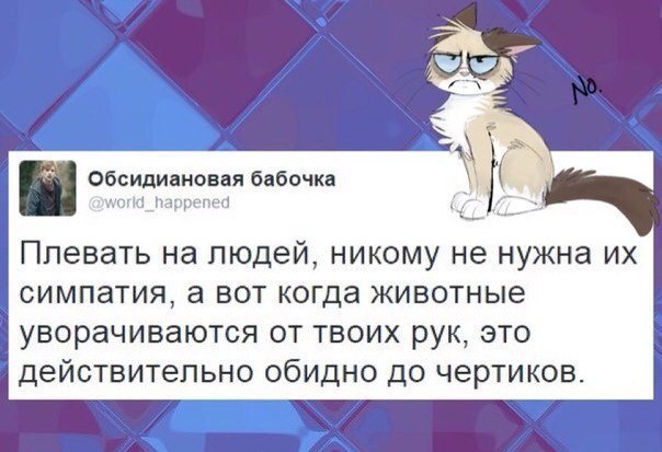  - 11  2016  19:18