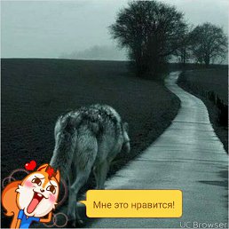 � � � � �, �����������, 36 ���