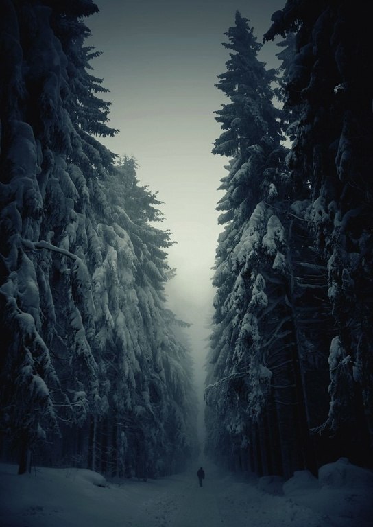 , ,        - 7
