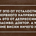 ���� ��������, ������, 38 ��� - ��������� 6 ������ 2015 � ������ ������ ��������