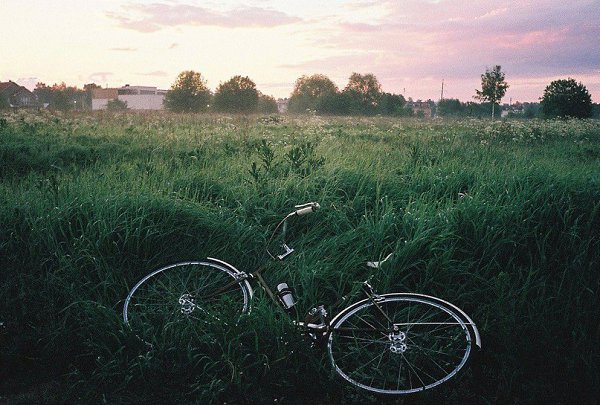 Знайте – когда вы все отпускаете, к вам приходит самое лучшее. Не бойтесь. © Шри Шанкар