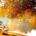 ���� ������, ������������ - ��������� 28 ������� 2015 � ������ ������ ��������