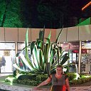 ���� ������ ��������, ������, 66 ��� - ��������� 24 ������ 2015 � ������ ���� ����������