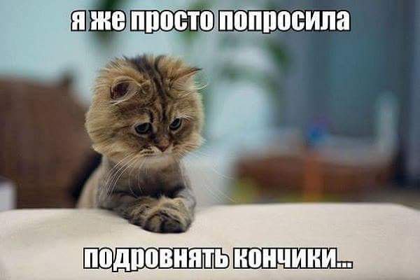   - 1  2015  03:23
