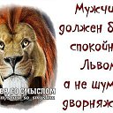���� ������, ������ - ��������� 3 ������� 2015 � ������ �������� ����