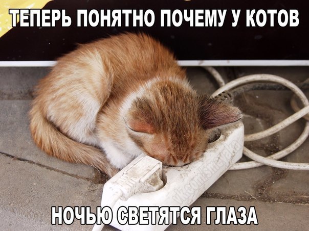    :D - 12  2016  07:32
