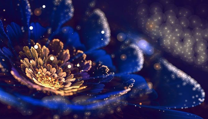 .   (Silvia Cordedda)      ... - 2