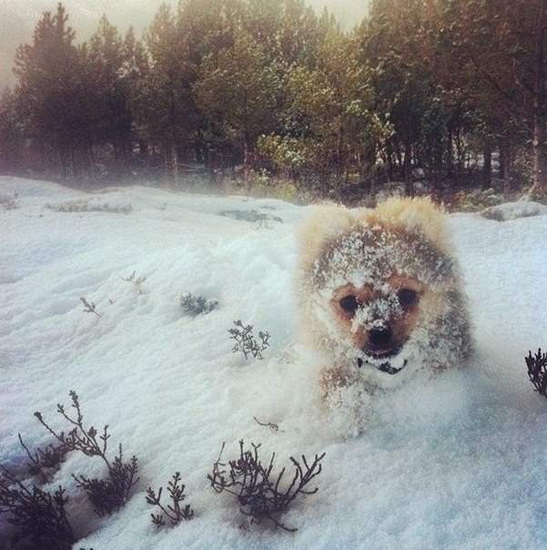 ,    . #@https://fotostrana.ru/away?to=/sl/XE2 - 4