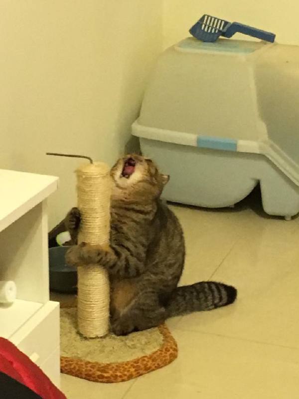   :)