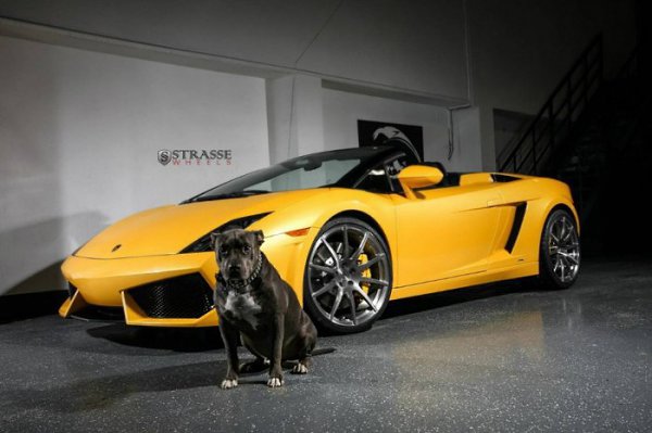 I Love Cars - 20  2015  20:49