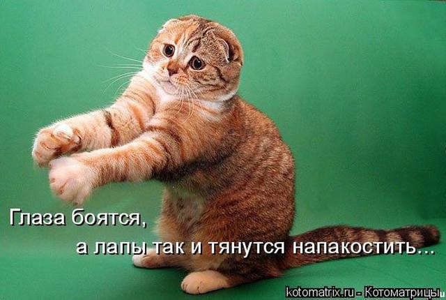   -:  ,     ,     ...