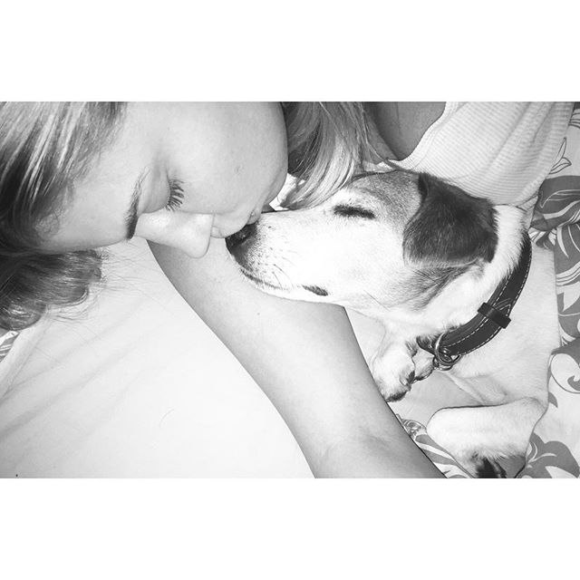 #love #bobza #jackrussell