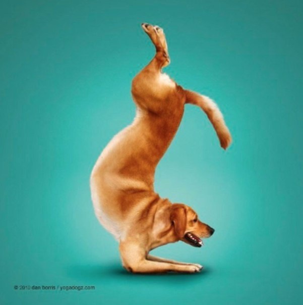  | Yoga - 1  2016  21:36 - 7