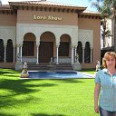 ���� �����, �����-���������, 59 ��� - ��������� 26 ������� 2015 � ������ ������ ��������