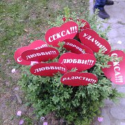 ��������, 37 ���, �����