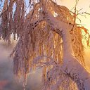 ���� Pavel, �����, 43 ���� - ��������� 11 ������� 2015 � ������ ������ ��������