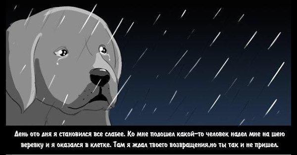  - 11  2015  16:14 - 6