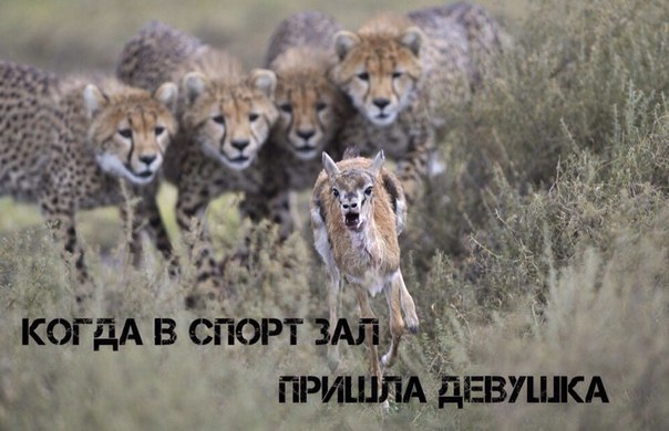 ����� - ��� ����� - 28 �������� 2015 � 01:53